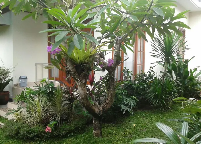 Jepun Bali Homestay Sanur